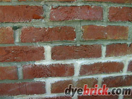 Applying Dyebrick 2